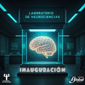 Cerebro dentro de un cubo transparente, título del recurso